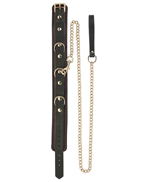 Collier et laisse Spartacus - Cuir marron avec détails dorés