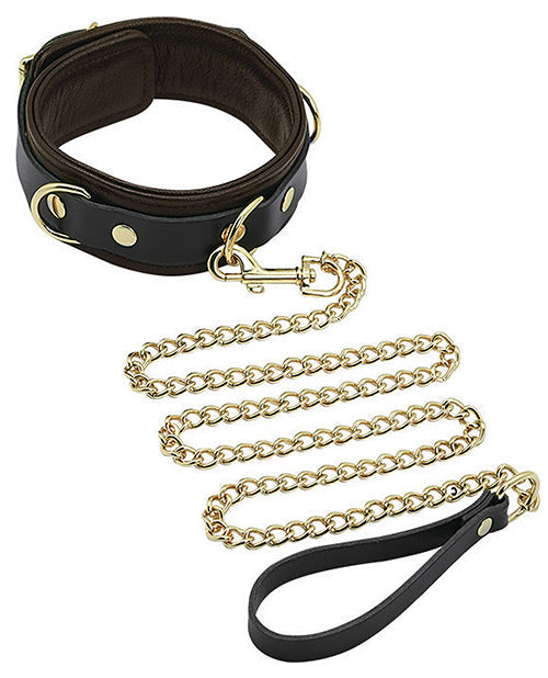 Collier et laisse Spartacus - Cuir marron avec détails dorés